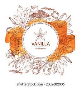 Watercolor background with vanilla flower and pod. vanilla Oil, soap and bath salt . Cosmetics and medical plant. Vector hand drawn illustration