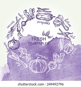 watercolor background with vegetable in vector.
