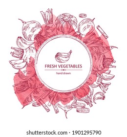 Watercolor background with vegetables: beetroot, carrot, garlic and radish. Vector hand drawn illustration