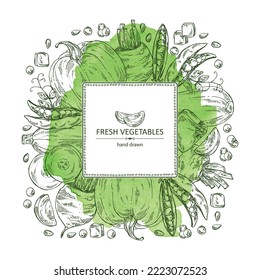 Watercolor background with vegetables: beetroot, peas, pumpkin and zucchini. Vector hand drawn illustration