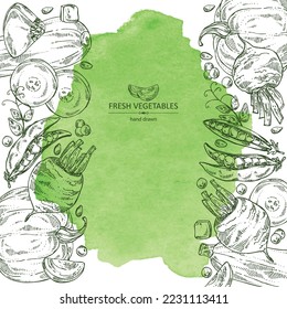Fondo acuático con verduras: remolacha, guisantes, calabaza y calabaza. Ilustración dibujada a mano por el vector