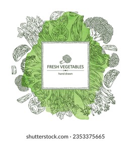 Watercolor background with vegetables: broccoli, fennel, celery, apium graveolens, brussels sprouts. Vector hand drawn illustration.