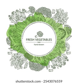 Fondo de acuarela con verduras: brócoli, hinojo, apio, graveolens de apio, coles de Bruselas. Vector dibujado a mano ilustración.