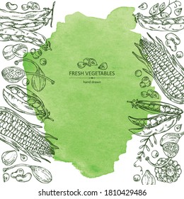 Fondo acuático con verduras: maíz, vaina de guisantes, vaina de alubias, gorro. Ilustración dibujada a mano por vectores.
