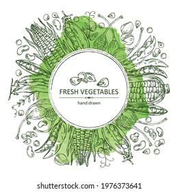 Watercolor background with vegetables: corn, peas pod, beans pod, caper. Vector hand drawn illustration.