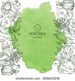 Fondo acuático con verduras: pimienta, zanahoria y rodajas, calabacín y ajo. Ilustración dibujada a mano por vectores.