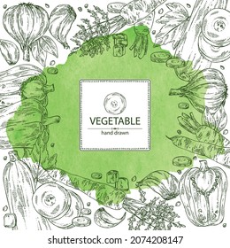 Watercolor background with vegetables: pepper, full carrot and slices, zucchini and garlic. Vector hand drawn illustration.