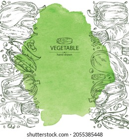 Watercolor background with vegetables: pepper, root and a piece of daikon, pod of peas and eggplant. Vector hand drawn illustration.