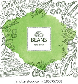 Watercolor background with vegetables: soybean plant, beans pod, chickpea beans and mung beans. Vector hand drawn illustration.