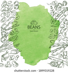 Watercolor background with vegetables: soybean plant, beans pod, chickpea beans and mung beans. Vector hand drawn illustration.