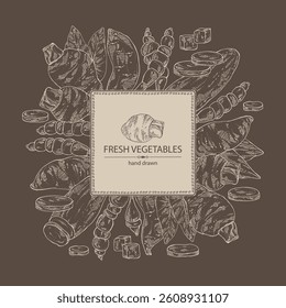 Watercolor background with vegetables: taro root, tuber of yams, yacon, chinese artichoke. Vector hand drawn illustration.