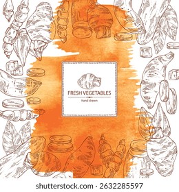 Watercolor background with vegetables: taro root, tuber of yams, yacon, chinese artichoke. Vector hand drawn illustration.