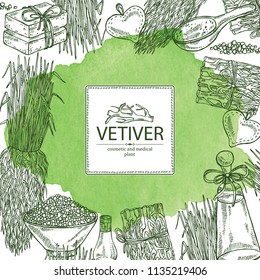Watercolor background with vetiver: root and plant of vetiver. Oil, soap and bath salt . Perfumery, cosmetics and medical plant. Vector hand drawn illustration
