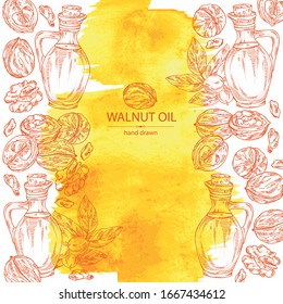 Watercolor background with walnut and bottle of walnut oil. Vector hand drawn illustration