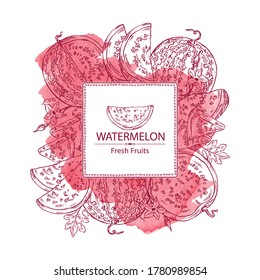 Watercolor background with watermelon: watermelon fruit and slice. Vector hand drawn illustration