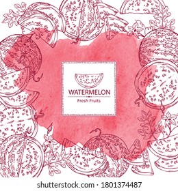 Watercolor background with watermelon: watermelon fruit and slice. Vector hand drawn illustration