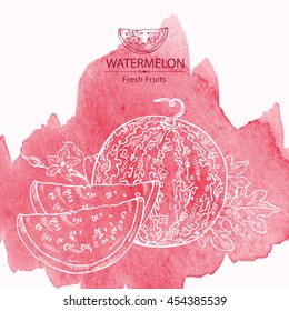 Watercolor background with watermelon . hand drawn