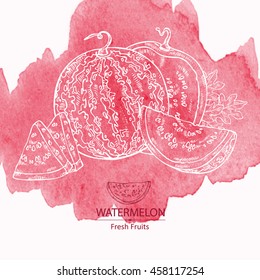Watercolor background with watermelon . hand drawn
