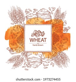 Watercolor background with wheat: plate and bag with wheat flour and wheat grain. Vector hand drawn illustration.