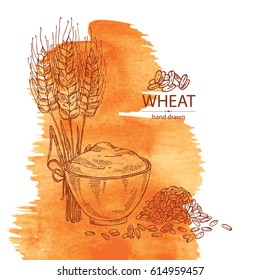Watercolor background with wheat: plate of flour, grain and spikelets. hand drawn