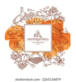 Watercolor background with wikstroemia indica: leaves, flowers and wikstroemia indica plant. Daphne indica. Oil, soap and bath salt . Cosmetics and medical plant. Vector hand drawn illustration