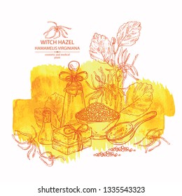 Watercolor background with witch hazel:hamamelis virginiana flowers, soap and bath salt . Cosmetic and medical plant. Vector hand drawn illustration. 