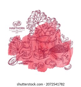 Watercolor background withhawthorn: hawthorn branch, flowers, berries and bath salt, soap and beauty products. Crataegus berries. Cosmetic, perfumery and medical plant. Vector