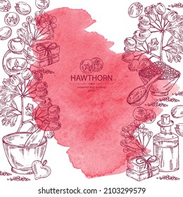 Watercolor background withhawthorn: hawthorn branch, flowers, berries and bath salt, soap and beauty products. Crataegus berries. Cosmetic, perfumery and medical plant. Vector