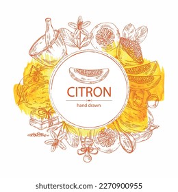 Watercolor background witht citron: fruts, citron flower, leaves, zedrate slice, bath salt, soap and beauty products.  Cosmetic, perfumery and medical plant. Vector hand drawn