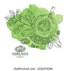 Watercolor background with yerba mate: drink mate, bomber, calabash, and mate branch and leaves. Vector hand drawn illustration.