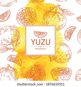 Watercolor background with yuzu: fruts, leaves and yuzu slice. Citrus junos. Vector hand drawn illustration
