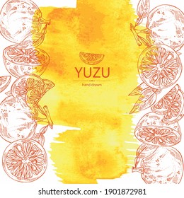 Watercolor background with yuzu: fruts, leaves and yuzu slice. Citrus junos. Vector hand drawn illustration