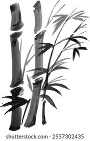 Watercolor Bamboo Branch - Japanese Drawing Ink. Vector