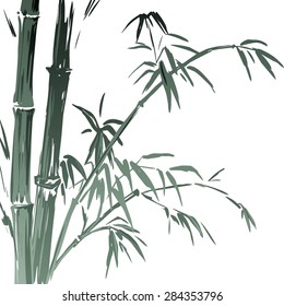 Watercolor Bamboo branches isolated on the white background. Vector illustration EPS 10