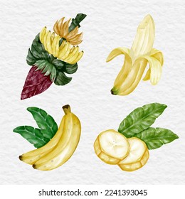 watercolor banana element set collection