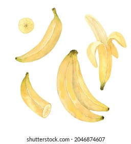 Watercolor banana. Banana slice. Bunch of bananas. Set isolated watercolor bananas.