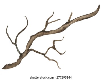 Watercolor bare tree, snag, bough, driftwood, branch closeup isolated on white background. Hand painting on paper