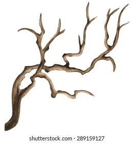 Watercolor bare tree, snag, bough, drift wood, branch closeup isolated on white background. Hand painting on paper