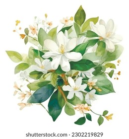Watercolor beautiful blossom jasmine flowers pattern. white background. Hand drawn painted blooming jasmine branches, flowers, leaves. Modern artistic colorful drawing ornament. Immagine vettoriale stock