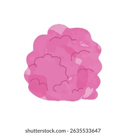 watercolor beautiful coral different types