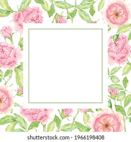 watercolor beautiful English rose flower bouquet garden square banner background