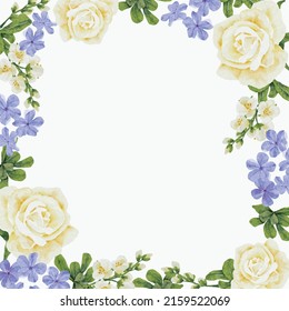 watercolor beautiful white rose and blue Plumbago auriculata plant flower bouquet square frame