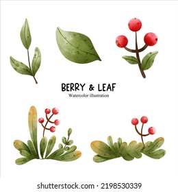 Watercolor berry and leaf, vector illustration