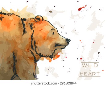 Watercolor big wild grizzly bear with contour and paint splashes.With concept text wild in heart. isolated on white background. Vector illustration