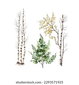 Watercolor birch trees Russia tree Design element for wallpapers, web site background Vector illustration.