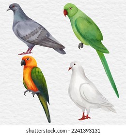 conjunto de colecciones de elementos de aves de color de agua