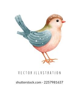 watercolor bird, spring vector illustration