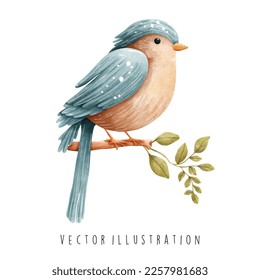 watercolor bird, spring vector illustration