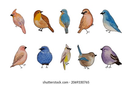 Watercolor birds Hand-painted illustration isolated on a white background