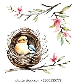 a watercolor birds nest abstract vector illustration